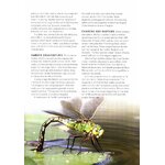 THE WILDLIFE POND BOOK_1