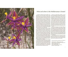 FLORA OF THE MEDITERRANEAN. WITH CALIFORNIA, CHILE, AUSTRALIA & SOUTH AFRICA. AN ILLUSTRATED GUIDE 2
