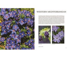FLORA OF THE MEDITERRANEAN. WITH CALIFORNIA, CHILE, AUSTRALIA & SOUTH AFRICA. AN ILLUSTRATED GUIDE 4