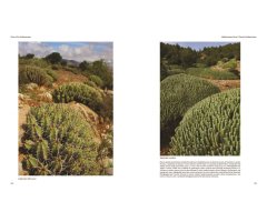 FLORA OF THE MEDITERRANEAN. WITH CALIFORNIA, CHILE, AUSTRALIA & SOUTH AFRICA. AN ILLUSTRATED GUIDE 5