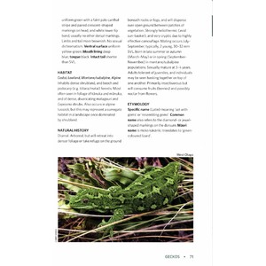 REPTILES AND AMPHIBIANS OF NEW ZEALAND. A FIELD GUIDE 3