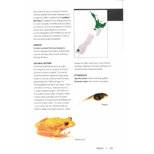 REPTILES AND AMPHIBIANS OF NEW ZEALAND. A FIELD GUIDE 4