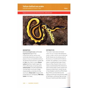 REPTILES AND AMPHIBIANS OF NEW ZEALAND. A FIELD GUIDE 5