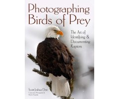 PHOTOGRAPHING BIRDS OF PREY. THE ART OF IDENTIFYING & DOCUMENTING RAPTORS