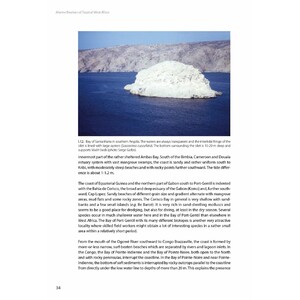 MARINE BIVALVES OF TROPICAL WEST AFRICA_1