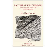 LA TIERRA EN UN GUIJARRO. VIAJE AL PASADO REMOTO DE NUESTRO PLANETA
