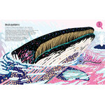 OCEANS. MARS, ILLES I RESERVES NATURALS SUBMARINES 3