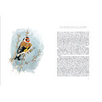 AVES QUE VEO EN INVIERNO 3