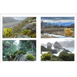 MOSSES OF EUROPE: A PHOTOGRAPHIC FLORA 3 VOLUME SET_1
