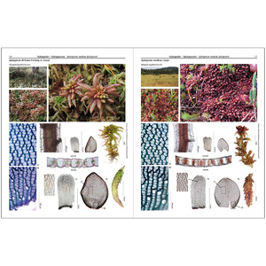 MOSSES OF EUROPE: A PHOTOGRAPHIC FLORA 3 VOLUME SET 3