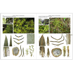 MOSSES OF EUROPE: A PHOTOGRAPHIC FLORA 3 VOLUME SET 4