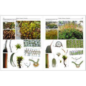 MOSSES OF EUROPE: A PHOTOGRAPHIC FLORA 3 VOLUME SET 5