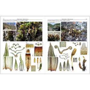 MOSSES OF EUROPE: A PHOTOGRAPHIC FLORA 3 VOLUME SET 6