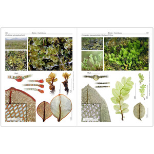 MOSSES OF EUROPE: A PHOTOGRAPHIC FLORA 3 VOLUME SET 7