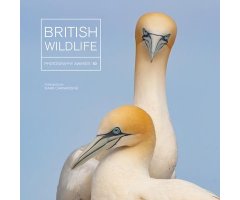 BRITISH WILDLIFE PHOTOGRAPHY AWARDS. COLLECTION 10