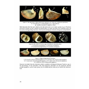 THE FRESHWATER GASTROPODS OF THE WEST-PALAEARCTIS. VOLUME 1_1