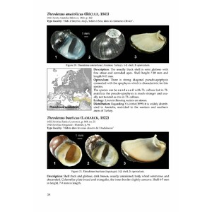 THE FRESHWATER GASTROPODS OF THE WEST-PALAEARCTIS. VOLUME 1 3