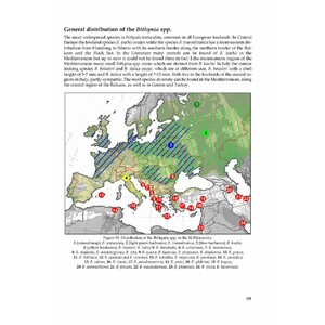 THE FRESHWATER GASTROPODS OF THE WEST-PALAEARCTIS. VOLUME 1 4