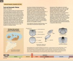 LA CATALUNYA PREHISTÒRICA EN 25 JACIMENTS PALEONTOLÒGICS                                                                                               2