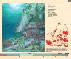 LA CATALUNYA PREHISTÒRICA EN 25 JACIMENTS PALEONTOLÒGICS                                                                                               3