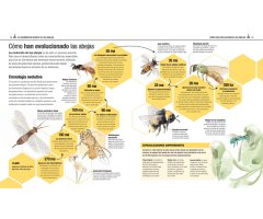EL LIBRO DE LAS ABEJAS 2