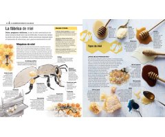 EL LIBRO DE LAS ABEJAS 3