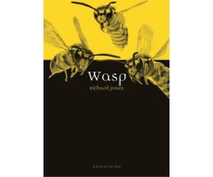 WASP                                                                                                                                                  
