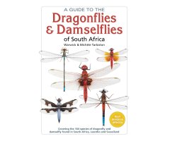 A GUIDE TO THE DRAGONFLIES AND DAMSELFLIES OF SOUTH AFRICA: COVERING THE 164 SPECIES OF DRAGONFLY AND DAMSELFLY FOUND IN SOUTH AFRICA, LESOTHO AND SWA