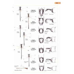 A GUIDE TO THE DRAGONFLIES AND DAMSELFLIES OF SOUTH AFRICA: COVERING THE 164 SPECIES OF DRAGONFLY AND DAMSELFLY FOUND IN SOUTH AFRICA, LESOTHO AND SWA 3