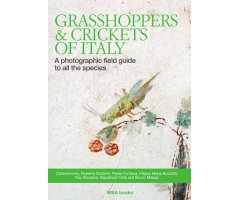 GRASSHOPPERS & CRICKETS OF ITALY. A PHOTOGRAPHIC FIELD GUIDE TO ALL THE SPECIES                                             