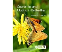 COURTSHIP AND MATING IN BUTTERFLIES 