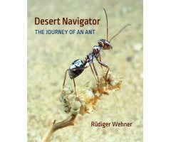DESERT NAVIGATOR: THE JOURNEY OF AN ANT                                          