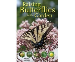 RAISING BUTTERFLIES IN THE GARDEN