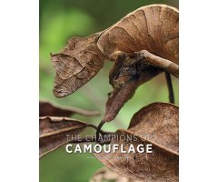 THE CHAMPIONS OF THE CAMOUFLAGE