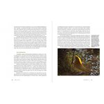 NEW GUINEA: NATURE AND CULTURE OF EARTH'S GRANDEST ISLAND 3