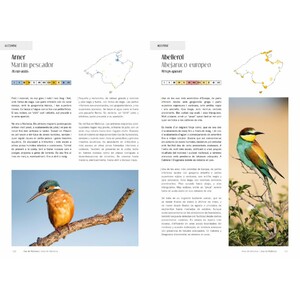 AUS/AVES DE MALLORCA. ON I QUAN OBSERVAR-LES / DÓNDE Y CUÁNDO OBSERVARLAS_1