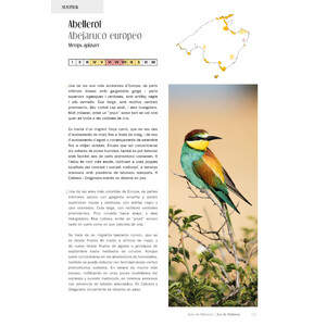 AUS/AVES DE MALLORCA. ON I QUAN OBSERVAR-LES / DÓNDE Y CUÁNDO OBSERVARLAS 3