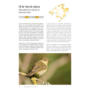 AUS/AVES DE MALLORCA. ON I QUAN OBSERVAR-LES / DÓNDE Y CUÁNDO OBSERVARLAS 4