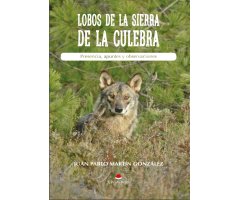 LOBOS DE LA SIERRA DE LA CULEBRA. PRESENCIA, APUNTES Y OBSERVACIONES    