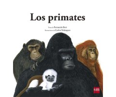 LOS PRIMATES