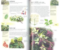 PLANTAS SILVESTRES COMESTIBLES. NUEVA GENERACIÓN DE GUÍAS DE CAMPO 2