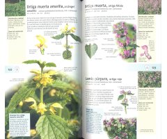 PLANTAS SILVESTRES COMESTIBLES. NUEVA GENERACIÓN DE GUÍAS DE CAMPO 3