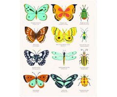 EL ORIGEN DE LAS ESPECIES DE CHARLES DARWIN 2
