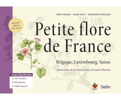 PETITE FLORE DE FRANCE