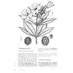LIANAS OF THE GUIANAS 2