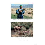 INTO WILD MONGOLIA 3