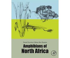 AMPHIBIANS OF NORTH AFRICA