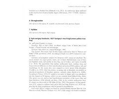 AMPHIBIANS OF NORTH AFRICA 5