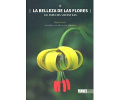 LA BELLEZA DE LAS FLORES