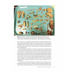 IDENTIFYING & INTERPRETING ANIMAL BONES. A MANUAL_1